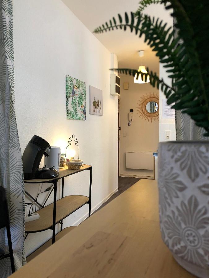 Equateur-Centre Jaude Apartment Клермон-Феран Екстериор снимка